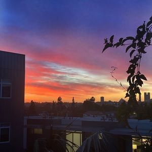 Meet your Posher, Evgeniia